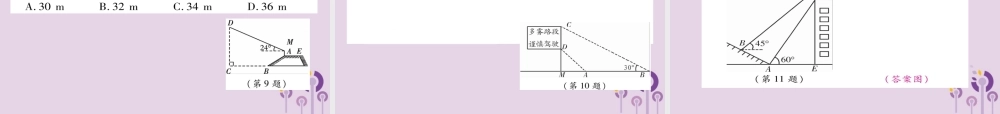 九年级数学上册 第24章 解直角三角形 244 解直角三角形 第3课时 解直角三角形(三)习题课件 (新版)华东师大版 课件