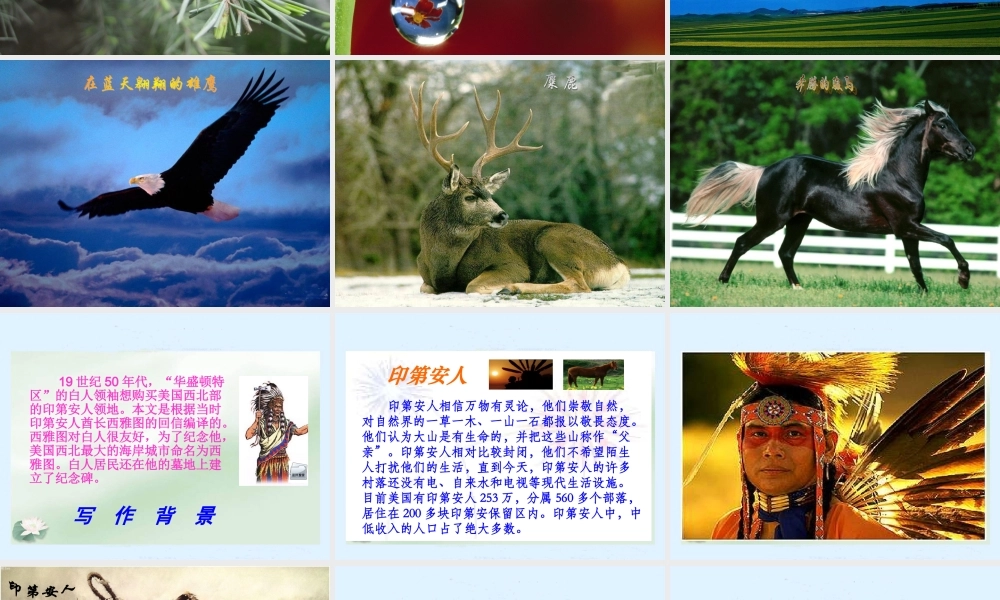 雁园路小学语文课件