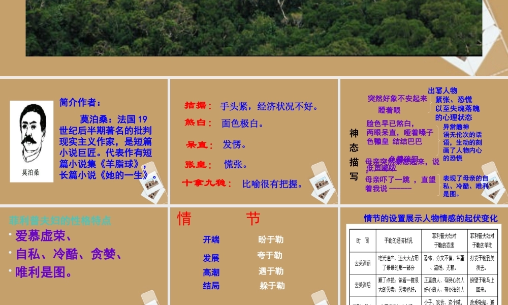 中学九年级语文上册(我的叔叔于勒)课件 人教新课标版 课件