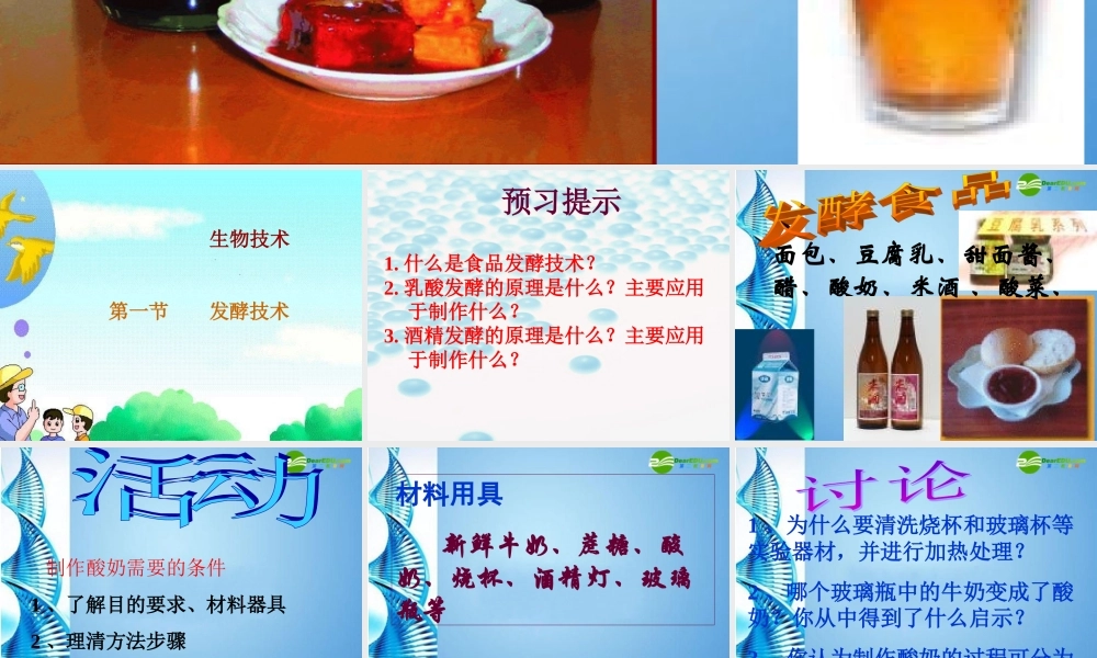 八年级生物下册 第七单元第一章第一节发酵技术课件 济南版 课件