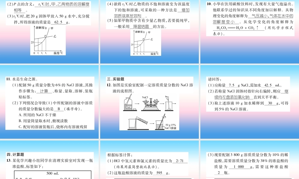 中考化学复习 第1编 教材知识梳理篇 第9单元 溶液(精练)课件