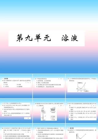 中考化学复习 第1编 教材知识梳理篇 第9单元 溶液(精练)课件