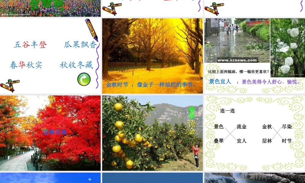 识字1--正式课件