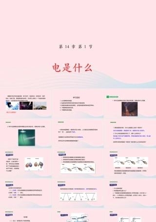 九年级物理全册 141 电是什么课件(新版)沪科版 课件