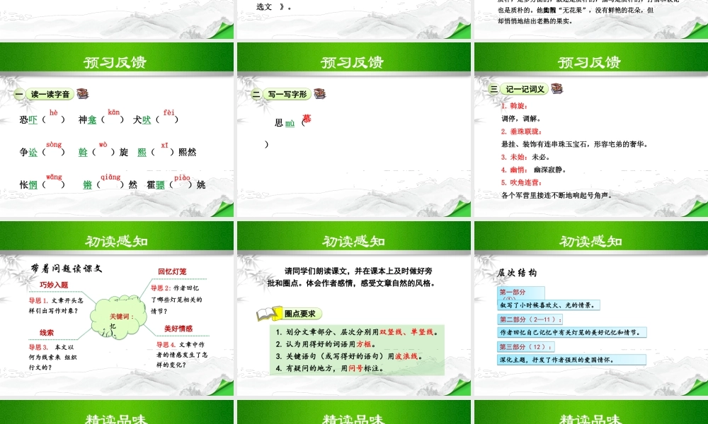 八年级语文下册 第4课(灯笼)课件 新人教版 课件