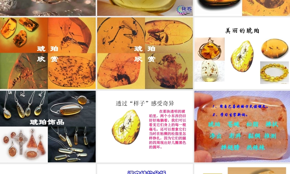 《琥珀》课件-(1)