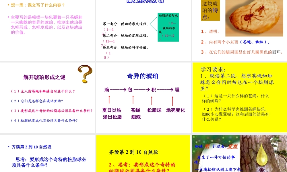 《琥珀》课件-(1)