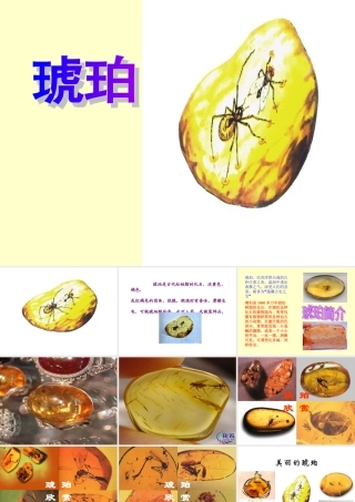《琥珀》课件-(1)
