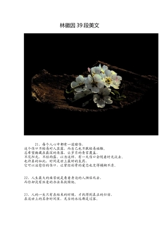 林徽因39段美文7