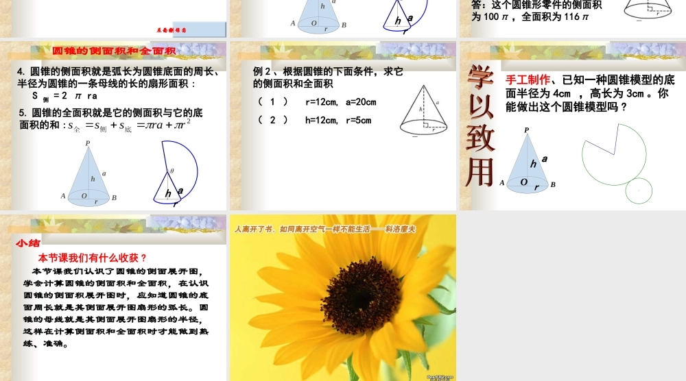 圆锥的侧面积和全面积课件示例 课件
