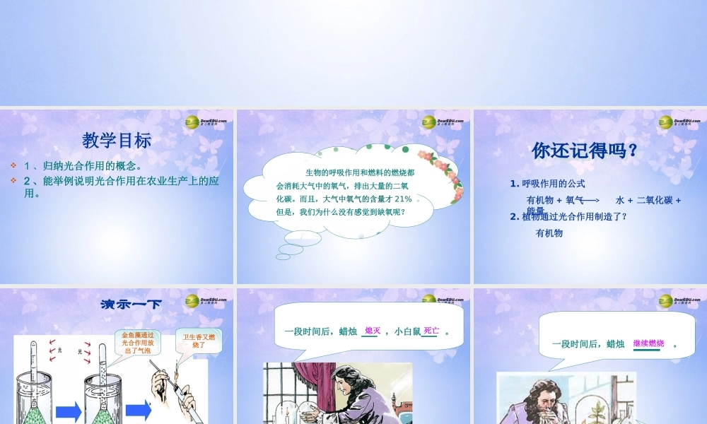 中学七年级生物上册 光合作用吸收二氧化碳释放氧气课件 新人教版 课件