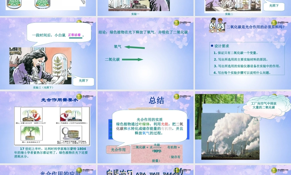 中学七年级生物上册 光合作用吸收二氧化碳释放氧气课件 新人教版 课件