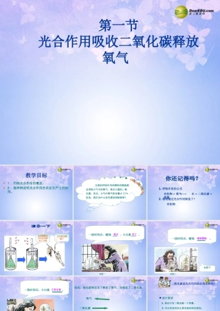 中学七年级生物上册 光合作用吸收二氧化碳释放氧气课件 新人教版 课件