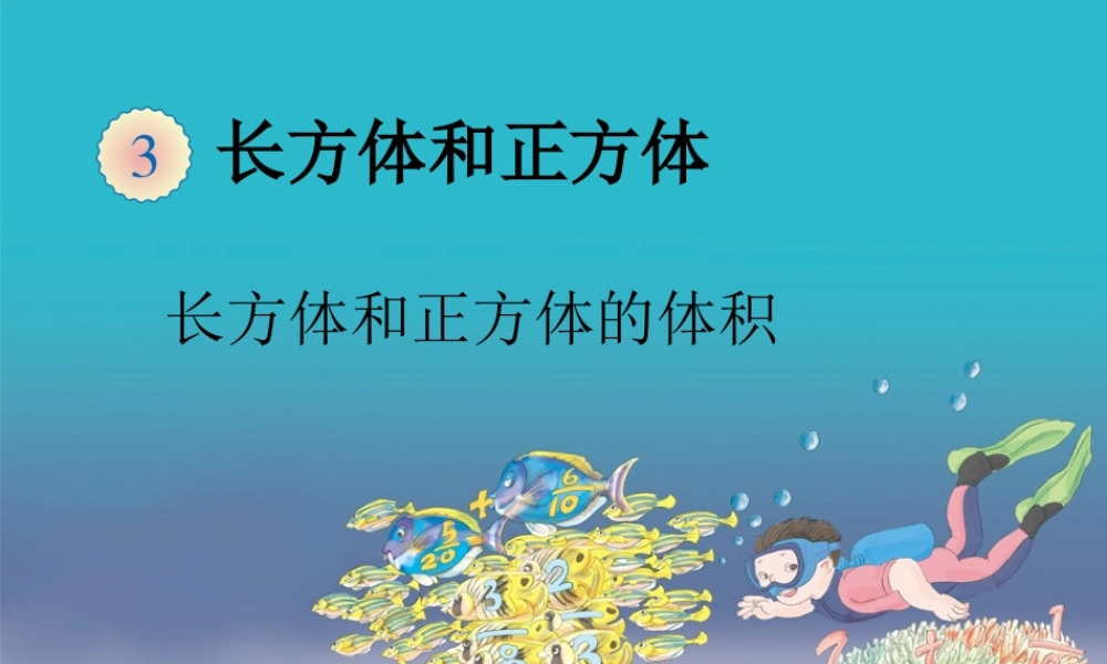 体积和体积单位 (3)