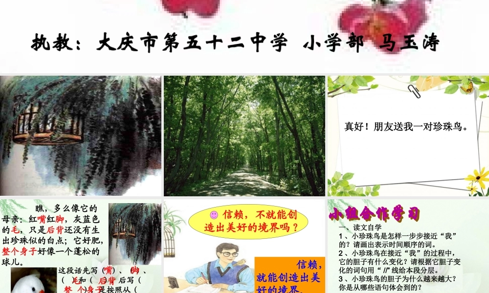 课珍珠鸟第二课时