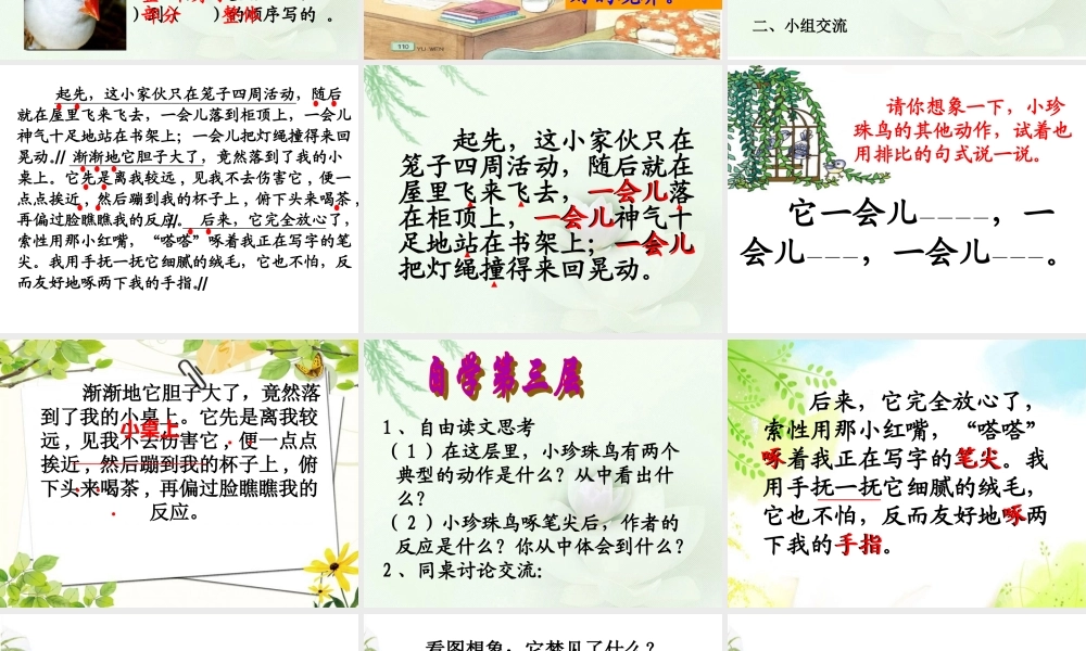 课珍珠鸟第二课时