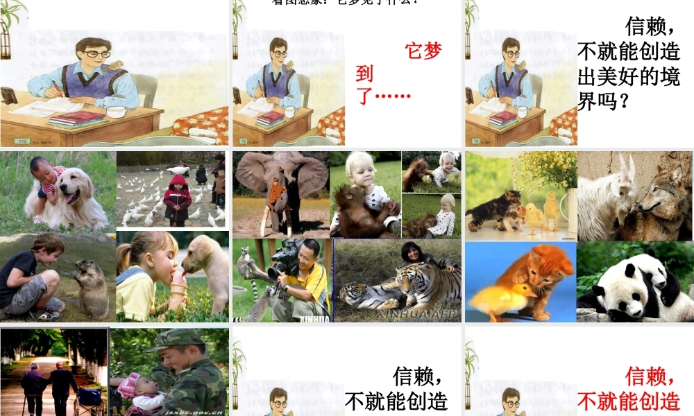 课珍珠鸟第二课时