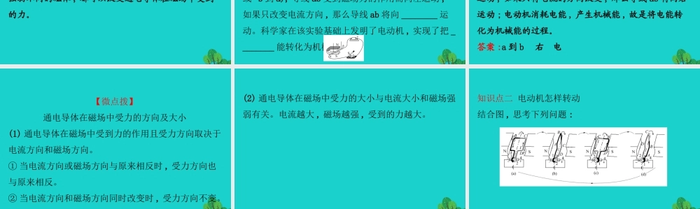九年级物理全册 173科学探究：电动机为什么会转动习题课件 (新版)沪科版 课件