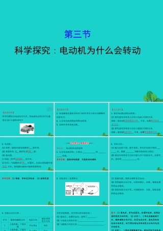 九年级物理全册 173科学探究：电动机为什么会转动习题课件 (新版)沪科版 课件
