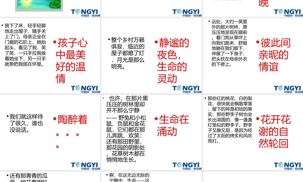 9生命中最美好的时刻