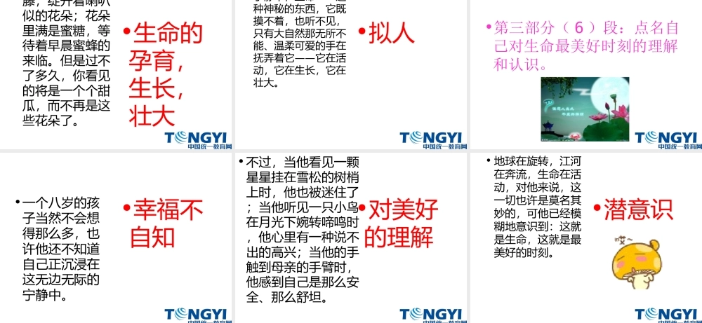9生命中最美好的时刻