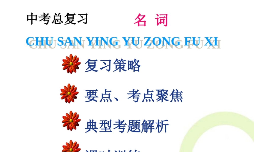 中考复习——名词课件1