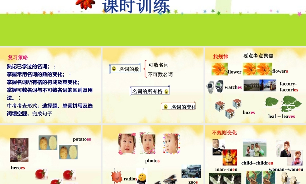 中考复习——名词课件1