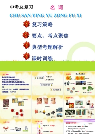 中考复习——名词课件1