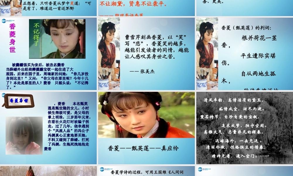 九年级语文上册 第香菱学诗)课件 新人教版 课件