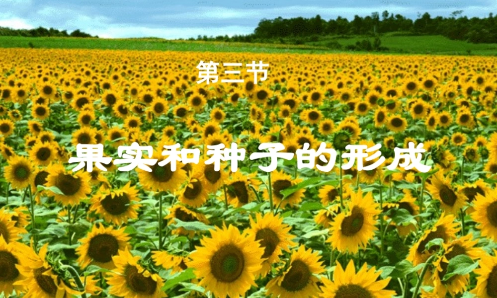 八年级生物上第三节 果实和种子的形成课件济南版 课件