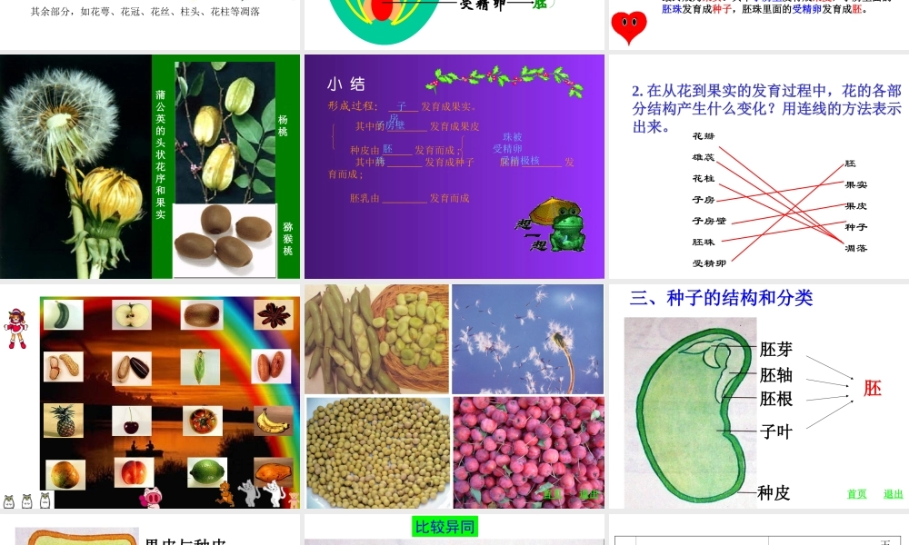 八年级生物上第三节 果实和种子的形成课件济南版 课件