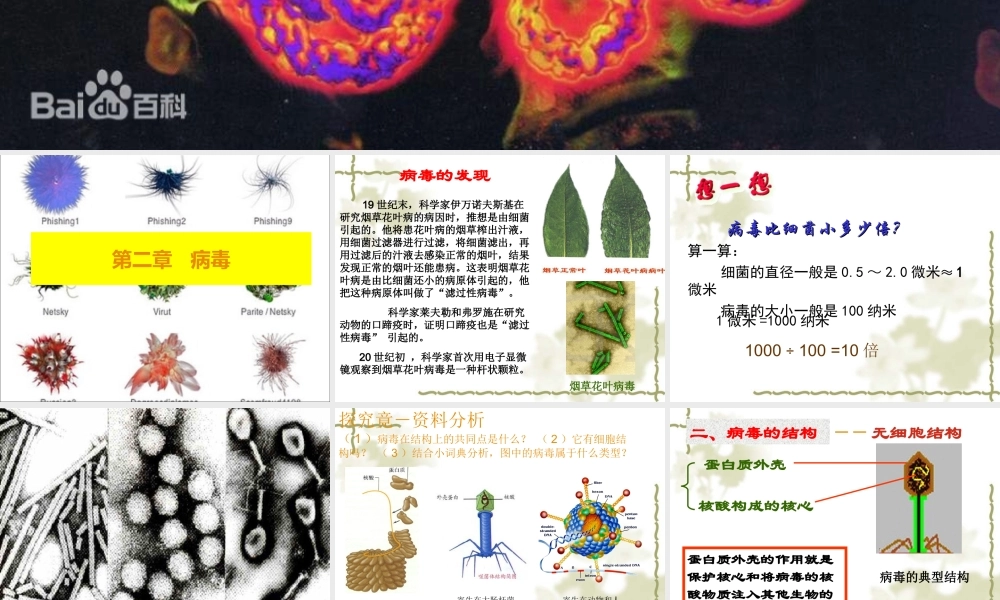 八上第五单元第二节病毒
