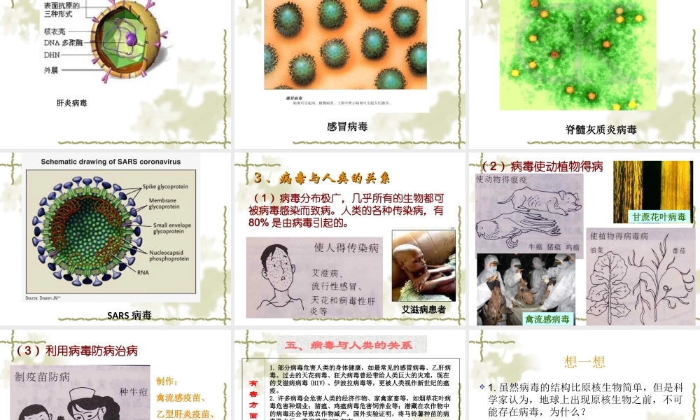 八上第五单元第二节病毒