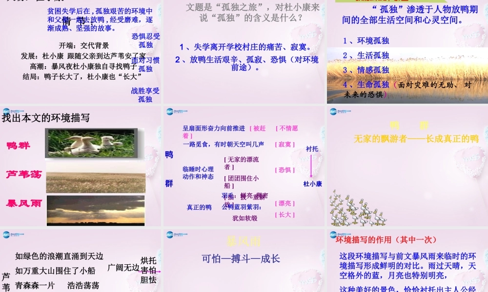 山东省泰安市九年级语文上册 10 孤独之旅课件 新人教版 课件