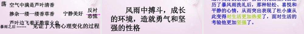 山东省泰安市九年级语文上册 10 孤独之旅课件 新人教版 课件