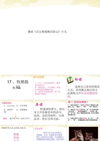 七年级语文上册 第17课(牧鹅散记)课件 鄂教版 课件