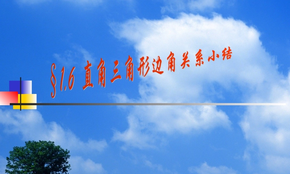 九年级数学 直角三角形边角关系小结-北师大版 ppt 课件