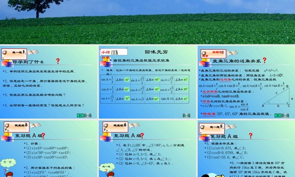 九年级数学 直角三角形边角关系小结-北师大版 ppt 课件