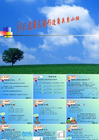 九年级数学 直角三角形边角关系小结-北师大版 ppt 课件