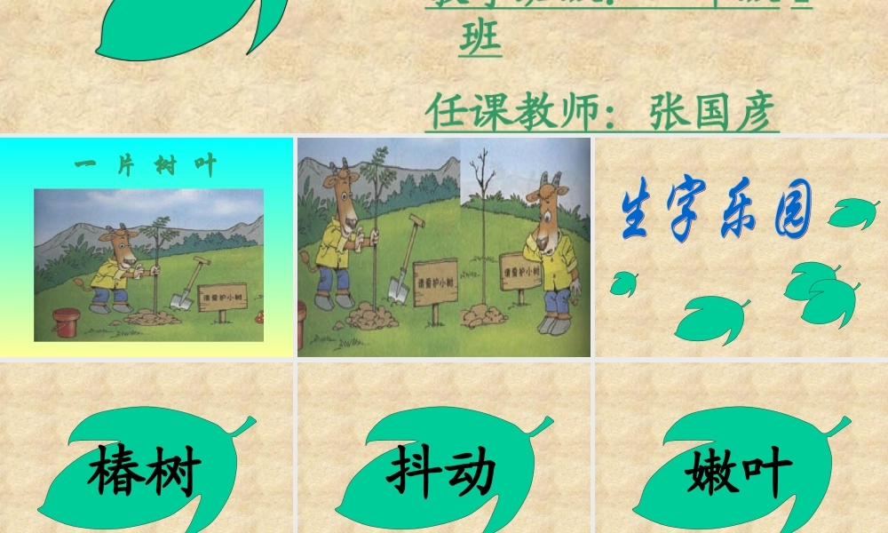 课件-一片树叶