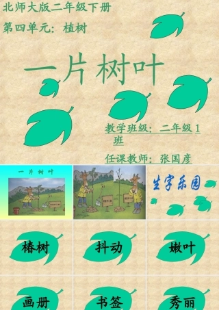 课件-一片树叶