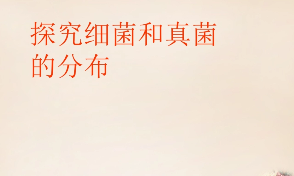 八年级生物上册 第二批教学能手评选 5.4.1 细菌和真菌的分布课件 (新版)新人教版 课件