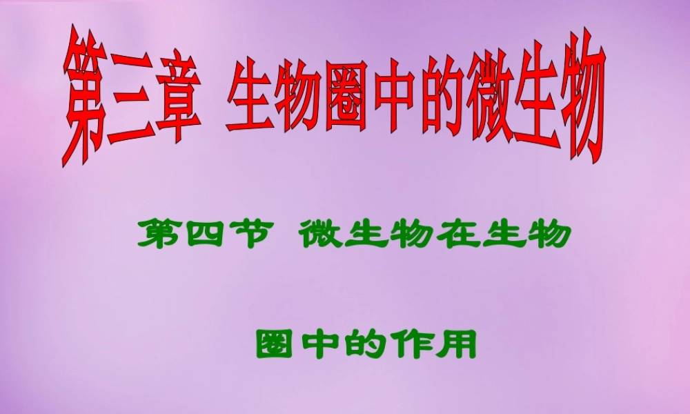 七年级生物上册 2.3.4 微生物在生物圈中的作用课件1 (新版)济南版 课件