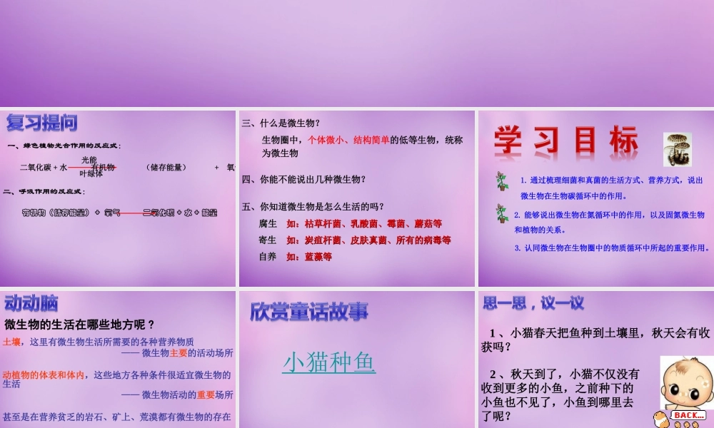 七年级生物上册 2.3.4 微生物在生物圈中的作用课件1 (新版)济南版 课件