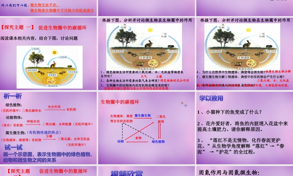 七年级生物上册 2.3.4 微生物在生物圈中的作用课件1 (新版)济南版 课件