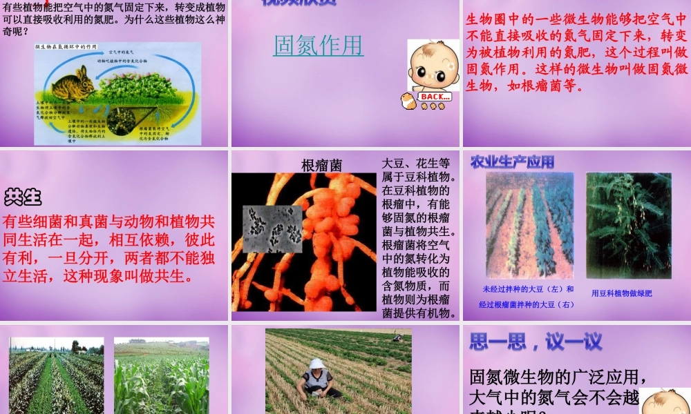 七年级生物上册 2.3.4 微生物在生物圈中的作用课件1 (新版)济南版 课件