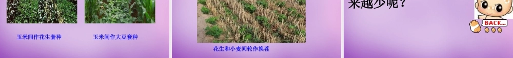 七年级生物上册 2.3.4 微生物在生物圈中的作用课件1 (新版)济南版 课件