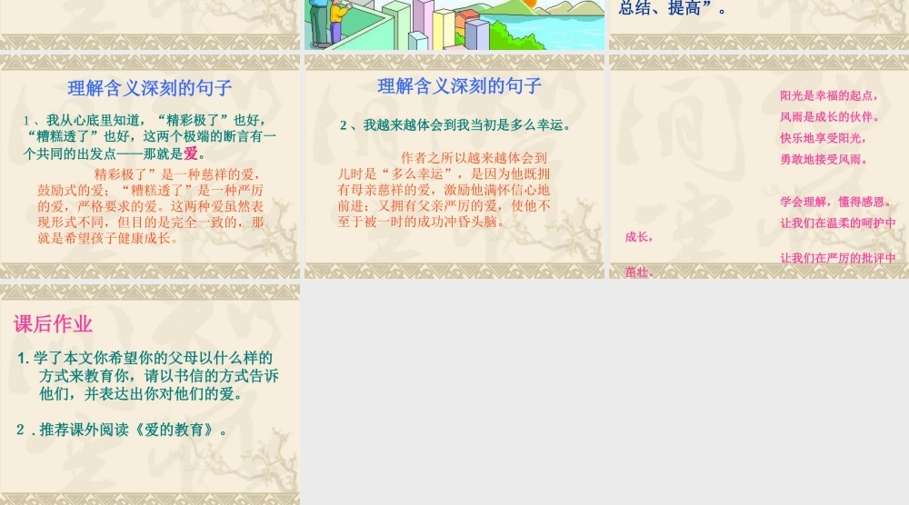 精彩极了糟糕透了课件