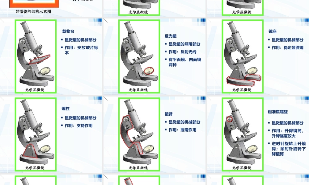 科学·技术·社会-人类探索微观世界不可缺少的工具——显微镜-(2)