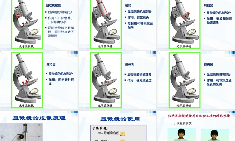 科学·技术·社会-人类探索微观世界不可缺少的工具——显微镜-(2)